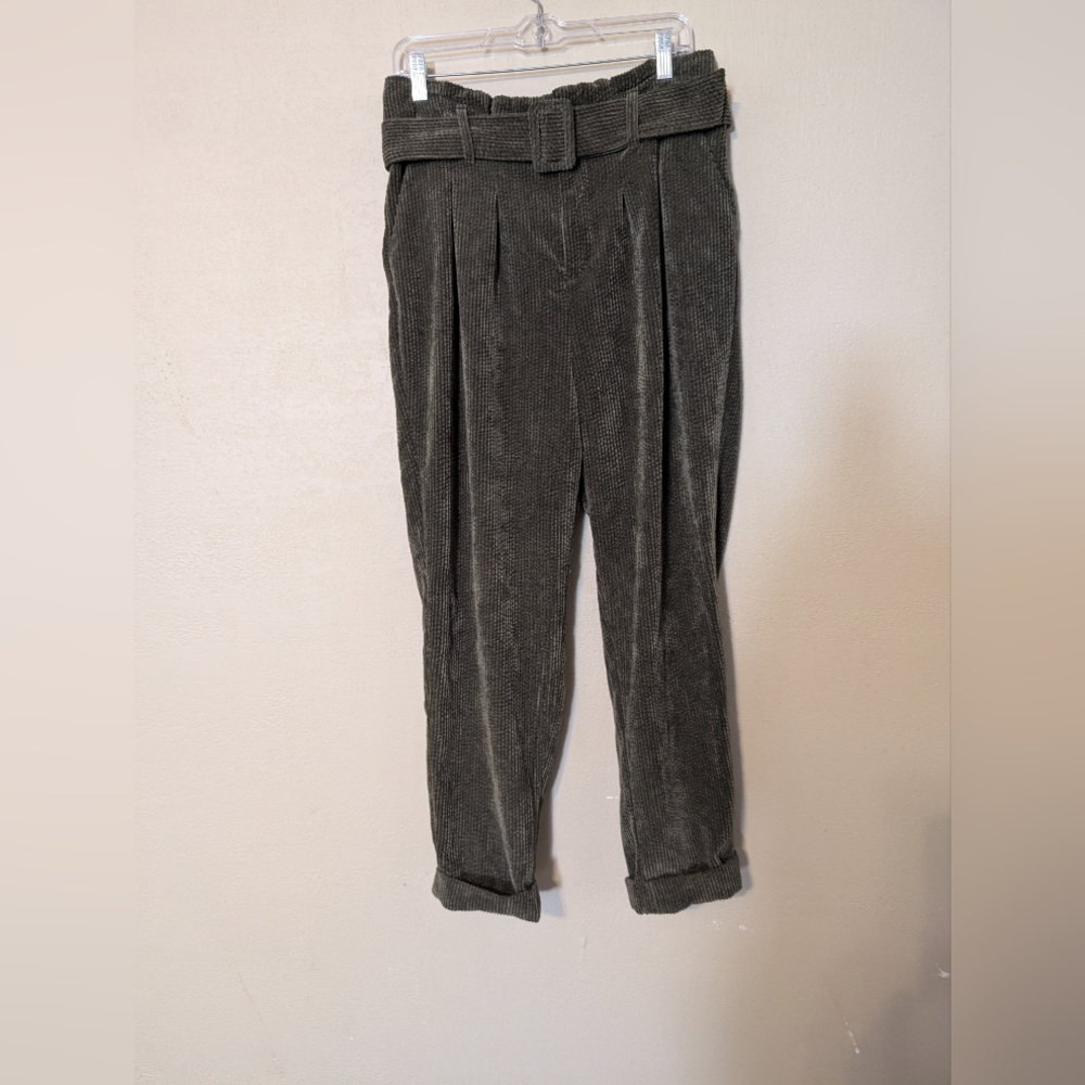 NWOT Fantastic Wild Fable Pants!